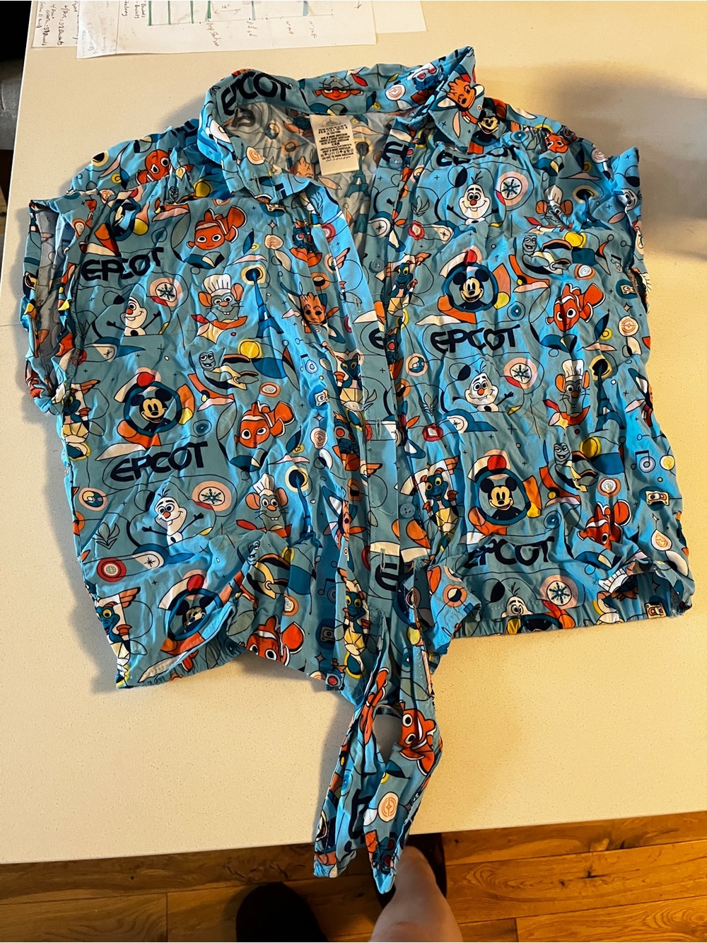 EPCOT Button Up with Ties